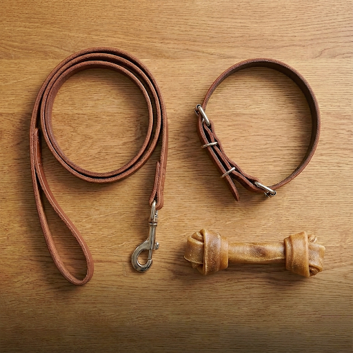 Accesorios para Perros