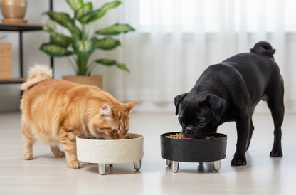 Comedero Elevado Funcional