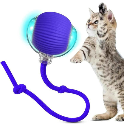 Bola interactiva para gatos