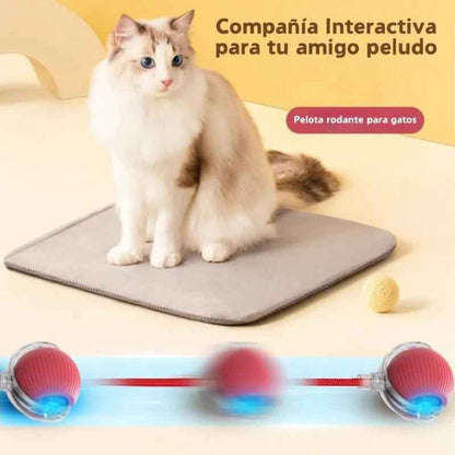 Bola interactiva para gatos