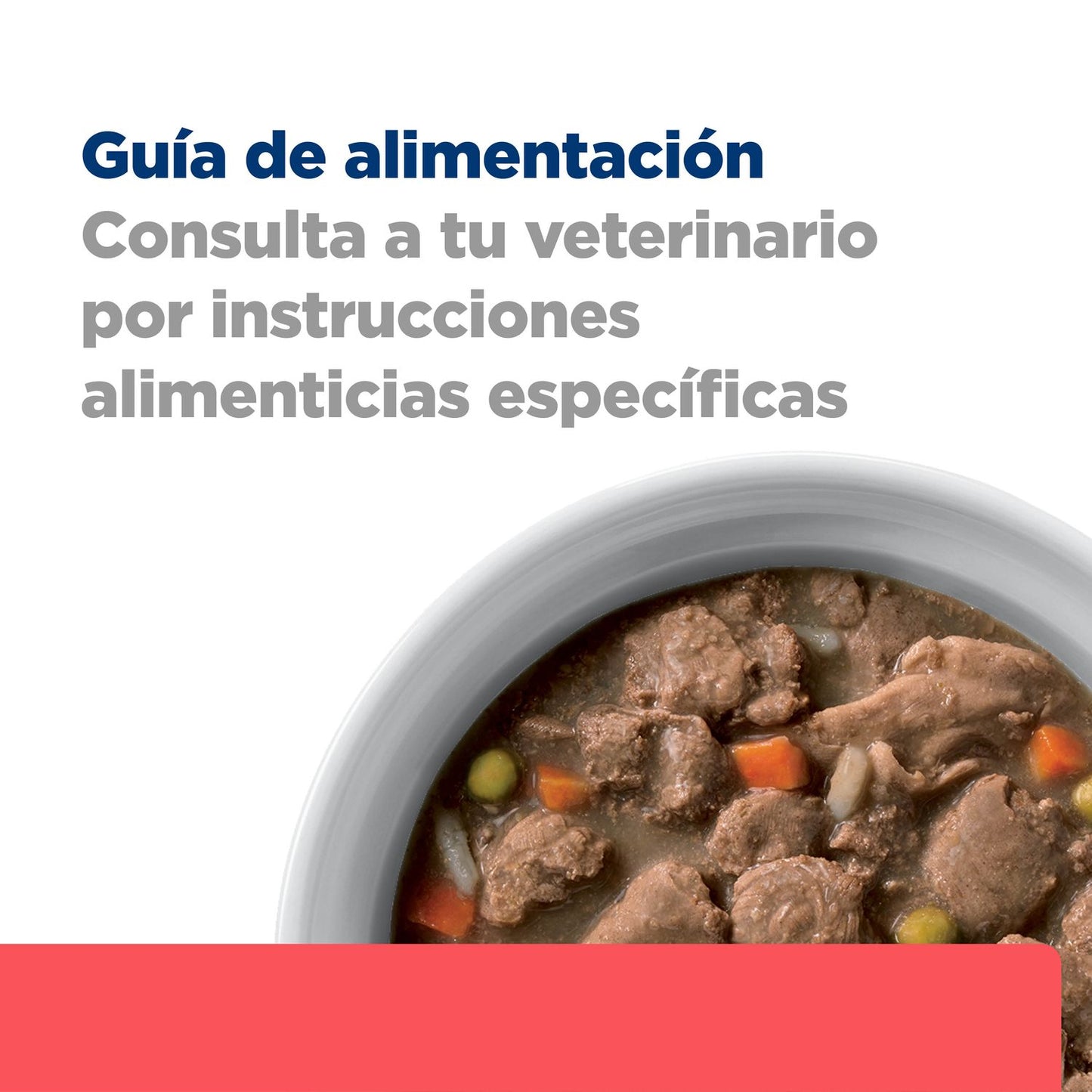 Hill’s Prescription Diet Nourish & Support ONC-CARE Canine, alimento húmedo 354 g