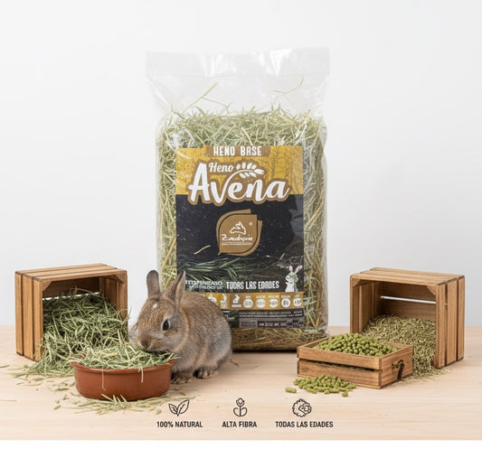 HENO  AVENA - ALFALFA Para conejos