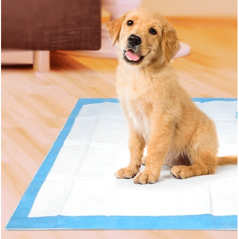 Paño absorbente de  piso  40 Unid (60x60cm) Talla L