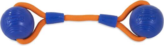 Chuckit - Juguete para perro Crunch Ball, tamaño mediano, con doble cuerda de arrastre